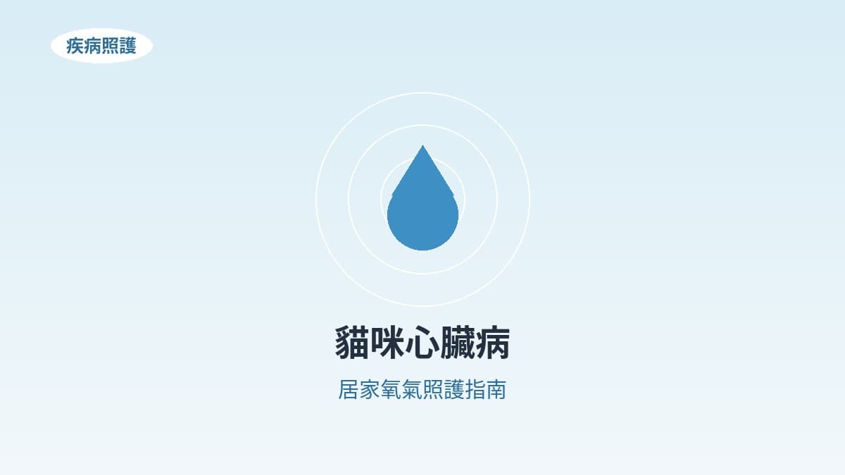 貓咪心臟病居家照護：氧氣治療的時機與注意事項