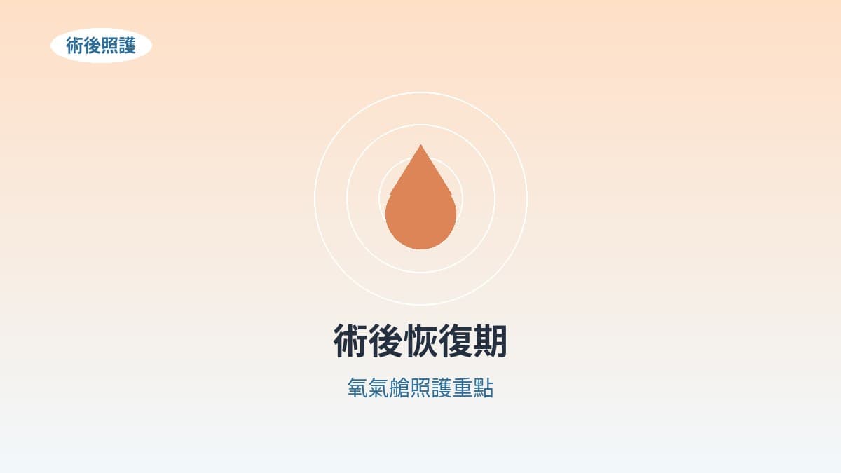 毛孩術後恢復期：氧氣艙如何加速康復進程