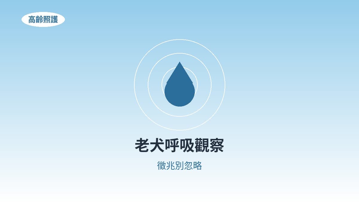 老犬呼吸變化觀察指南：這些徵兆別忽略